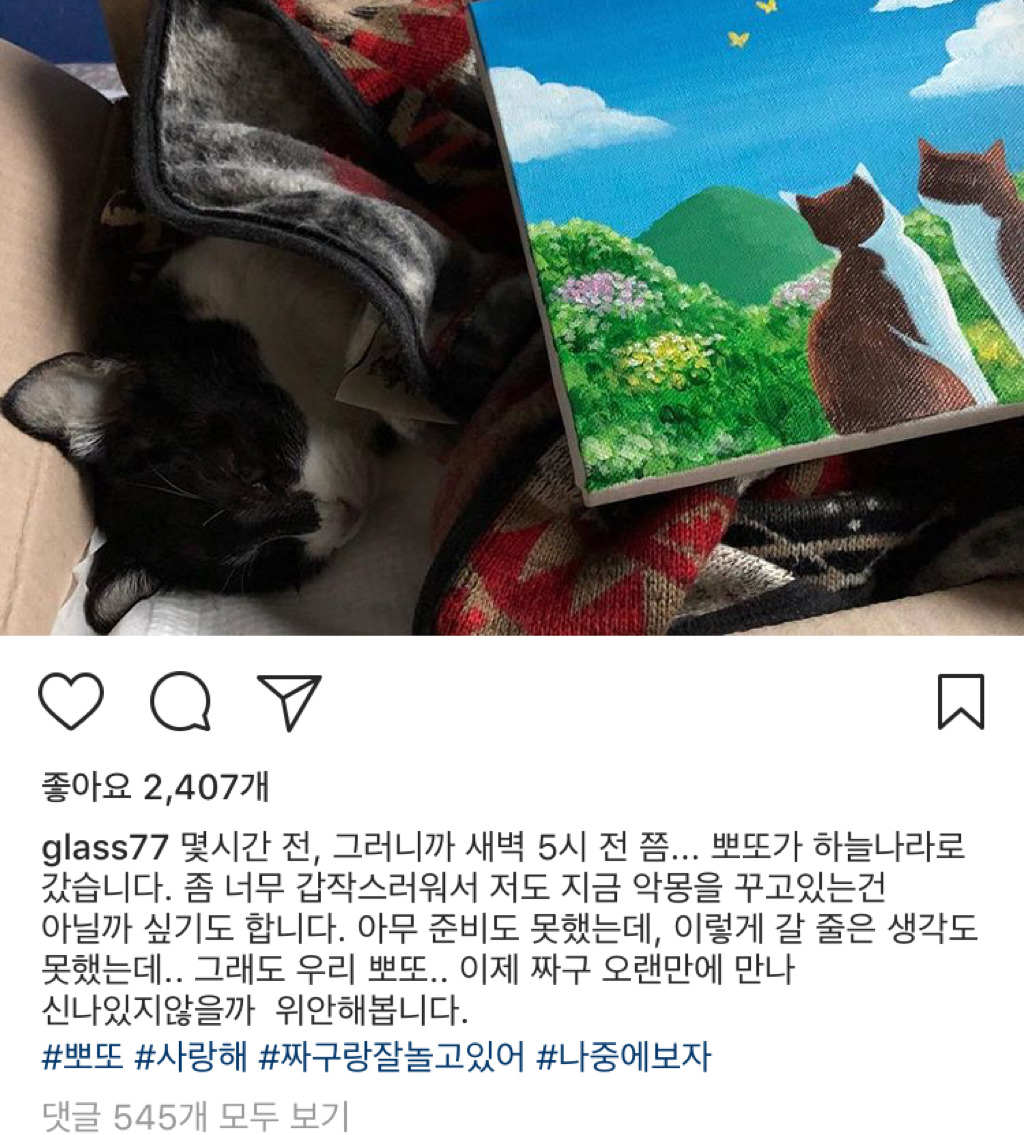 고양이별로 간 다음웹툰 뽀짜툰 고양이 뽀또 | 인스티즈