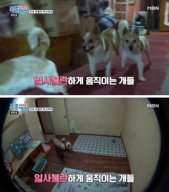 엔젤모텔 이미지