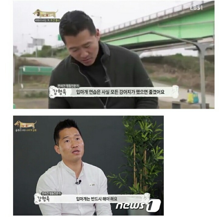 개들 밖에서 입마개를 해야하는 이유 | 인스티즈