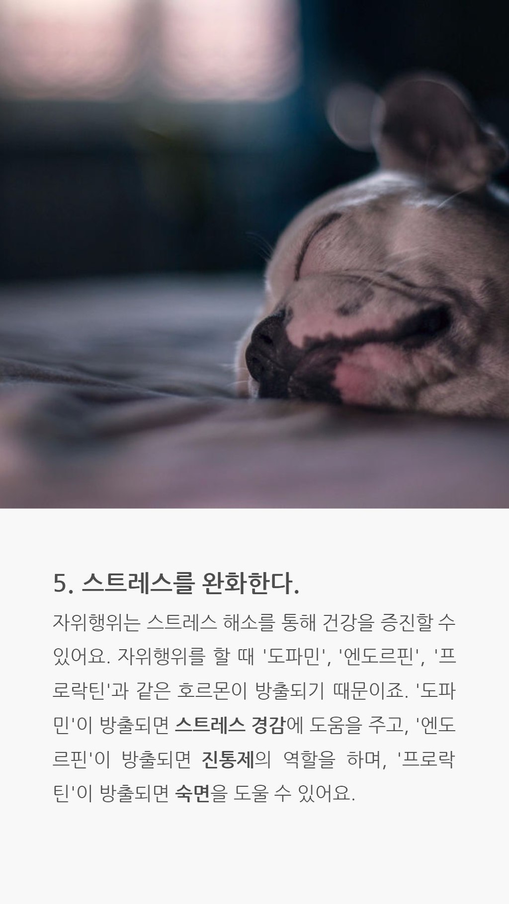자위의 순기능 | 인스티즈