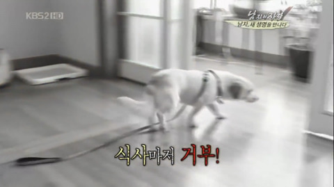 김국진과 반려견 덕구 | 인스티즈