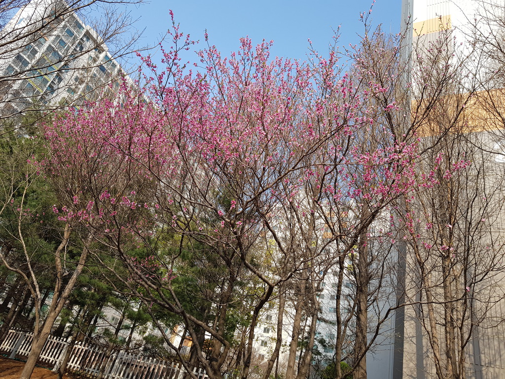 참숯구이전문점 이미지