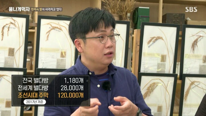한반도의 토종 벼 품종.JPG | 인스티즈