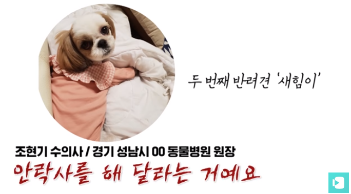 폭염 속 버려진 똘똘이가 모니로 개명한 사연 | 인스티즈