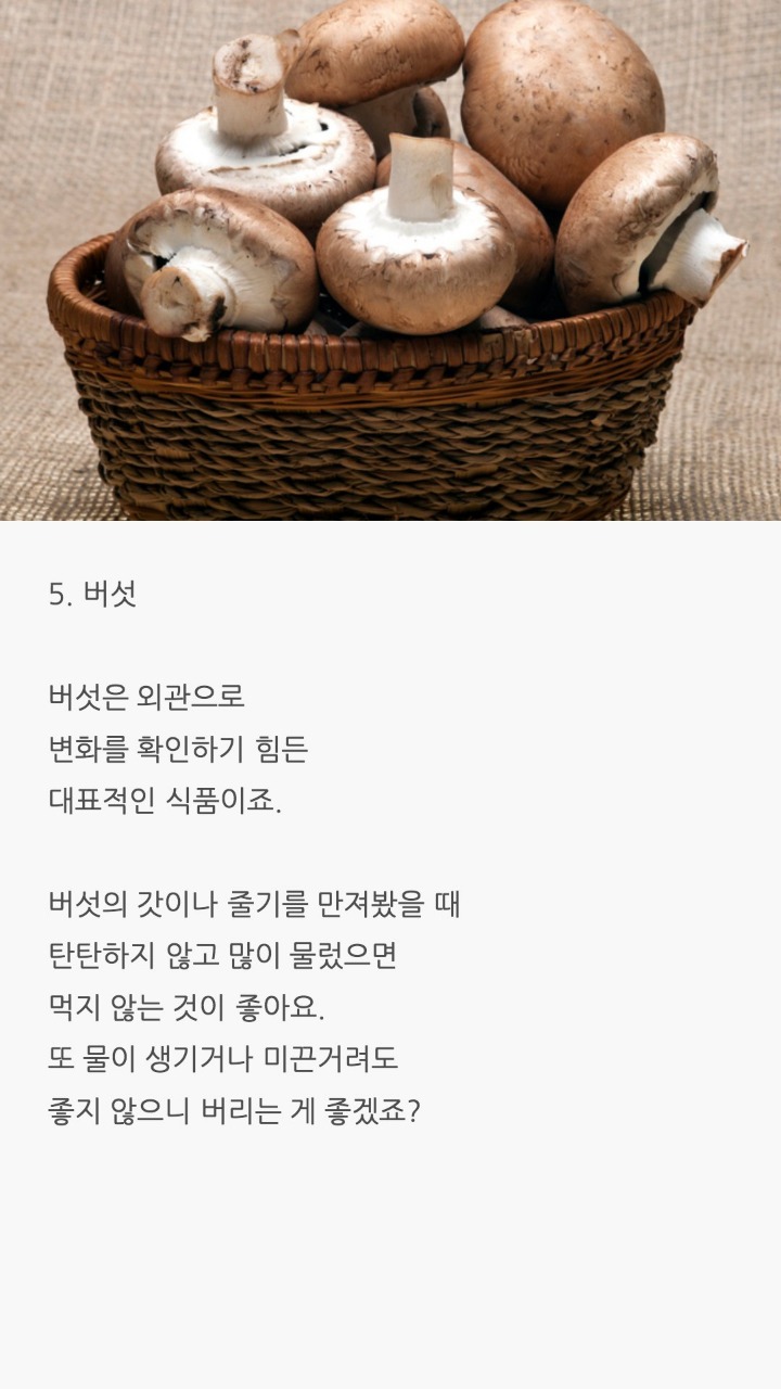 식품 신선도 확인하는법 | 인스티즈