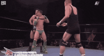 사람을 죽일수 있는 레슬링 기술.gif | 인스티즈