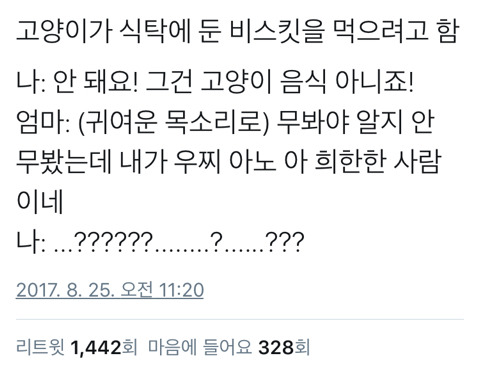 고양이 키우는 집의 흔한 풍경.twt | 인스티즈