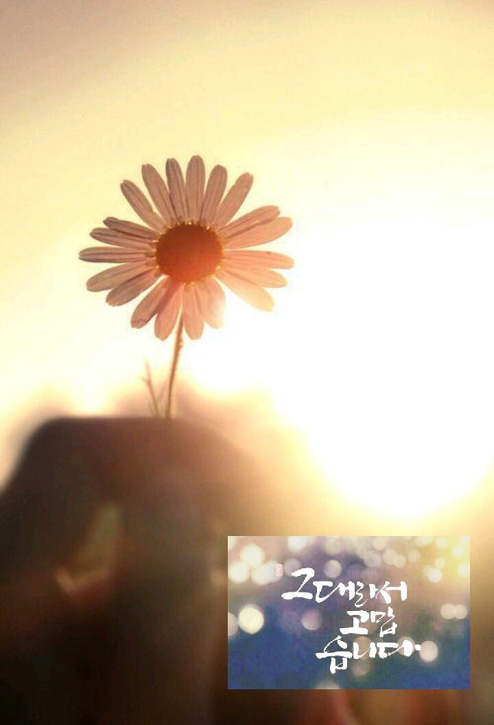 로드뮤직 이미지