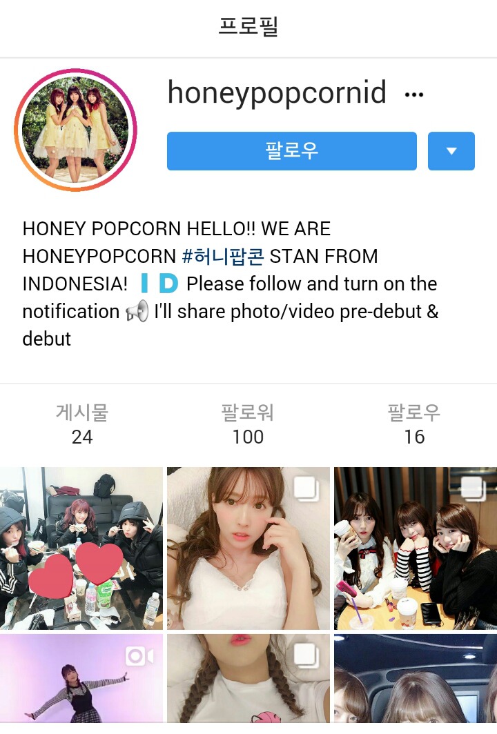 현직 일본AV배우들이 kpop으로 데뷔준비 중인데 그 팬계정이 한국걸그룹과 멤버이름 테그를 걸고있어요 | 인스티즈