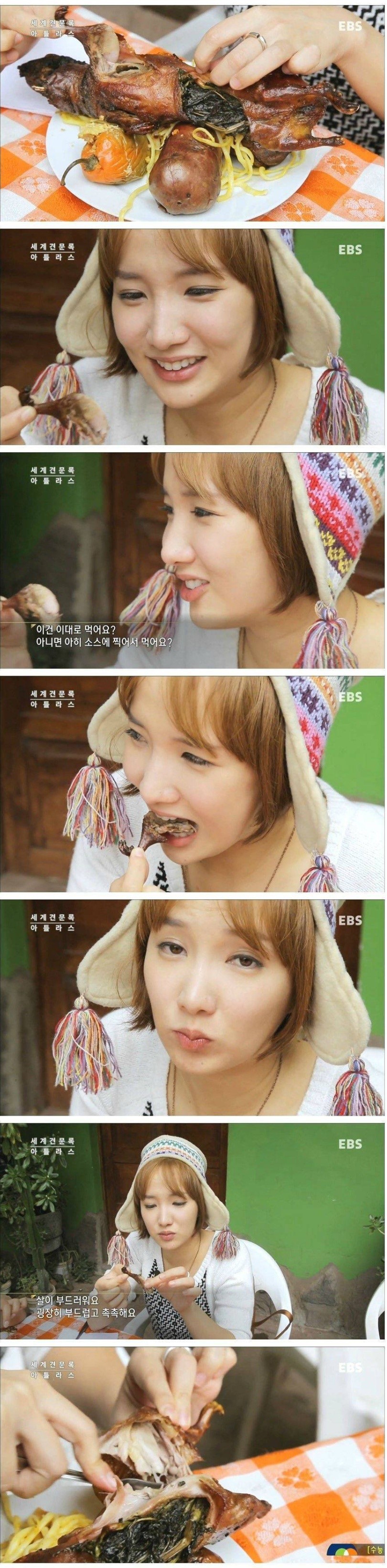 기니피그 맛 | 인스티즈
