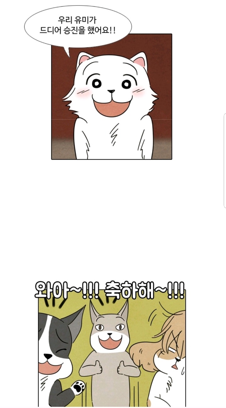 주인 자랑하는 댕댕이들 | 인스티즈