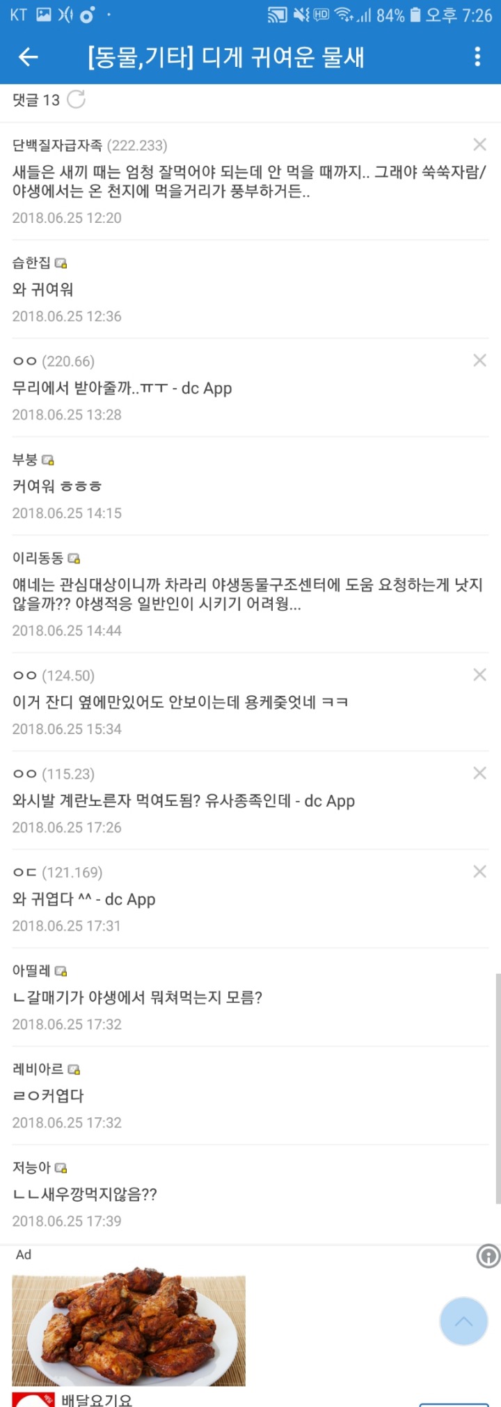 특이점이 온 디씨인의 새줍... | 인스티즈