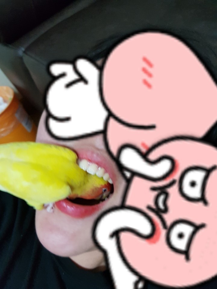 앵무새를 생으로 먹는 여자 | 인스티즈