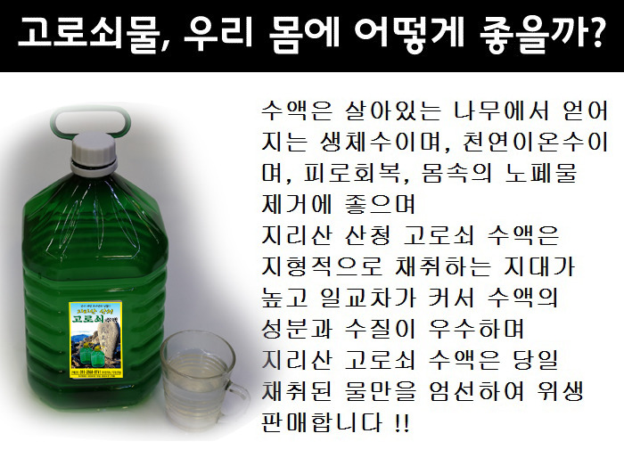 고로쇠 이미지