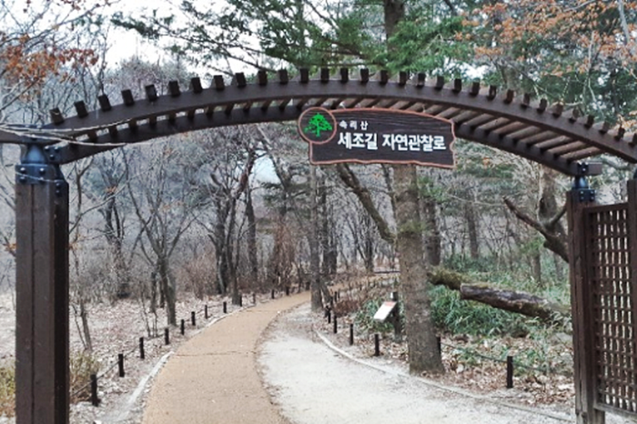 나무소리 이미지