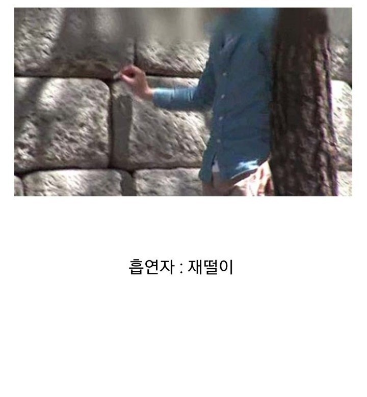 흡연자가 욕먹는 이유 jpg (길빵) | 인스티즈