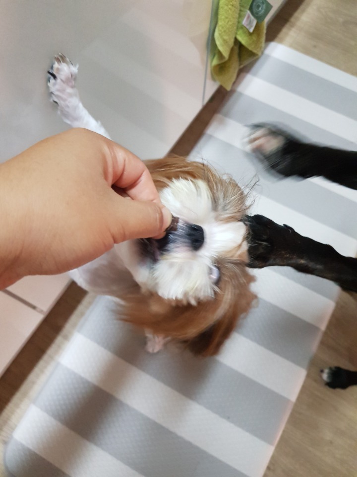 춘희네 이미지