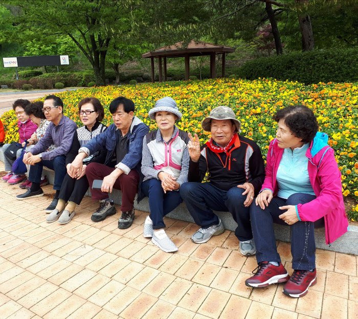 숲쟁이 이미지
