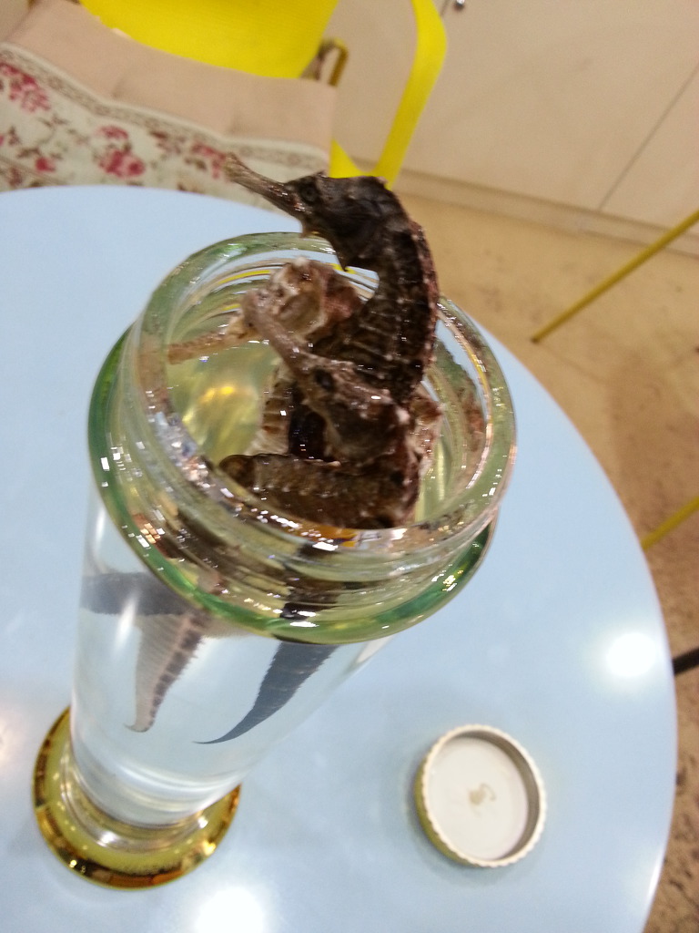 해마 이미지