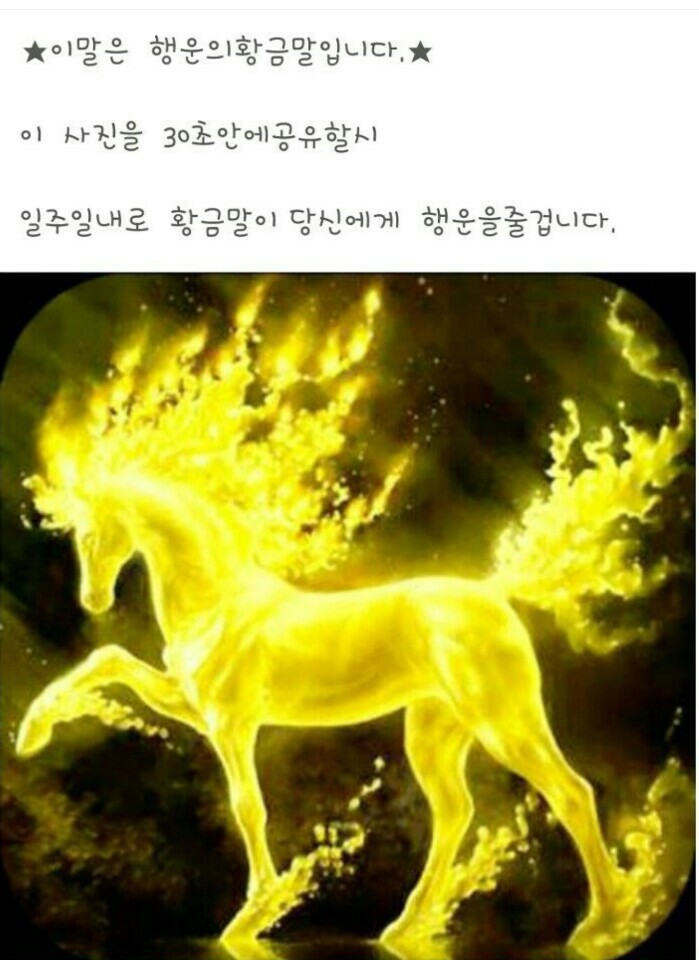 유어스 이미지