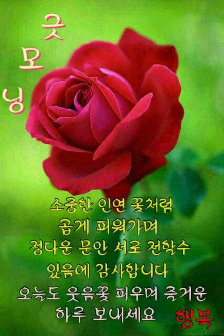 화요일 이미지