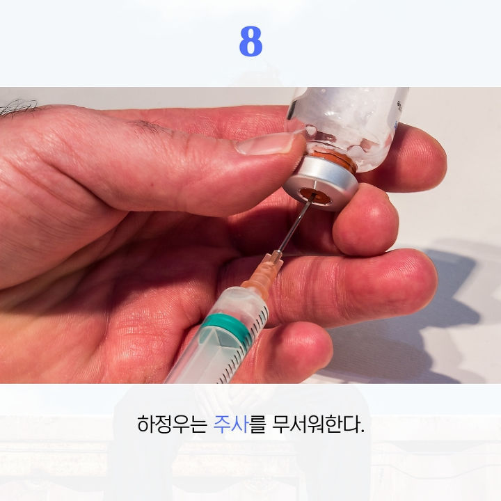 하정우에 대해 사람들이 잘 모르는 것 10가지 | 인스티즈