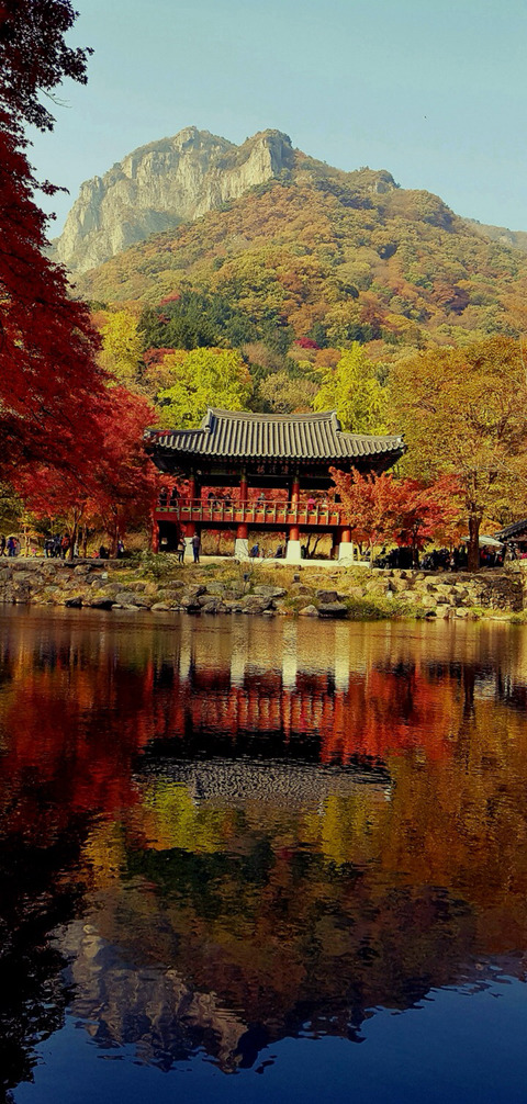백양사 이미지
