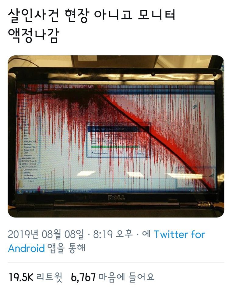 살인사건 현장 아니고 모니터 액정나감 | 인스티즈
