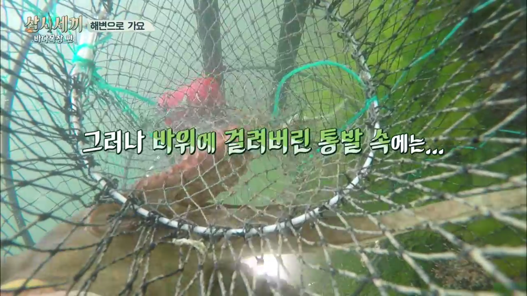한지민을 물음표살인마로 만든 삼시세끼 역대급 비쥬얼 해신탕 | 인스티즈