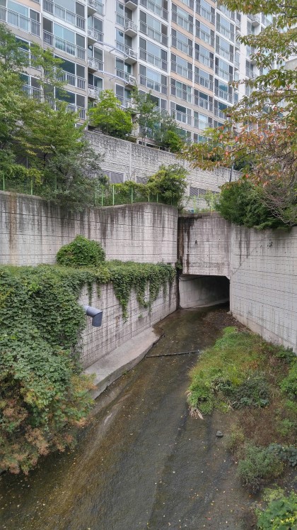 부산의 빌헬름 협곡 아파트 | 인스티즈