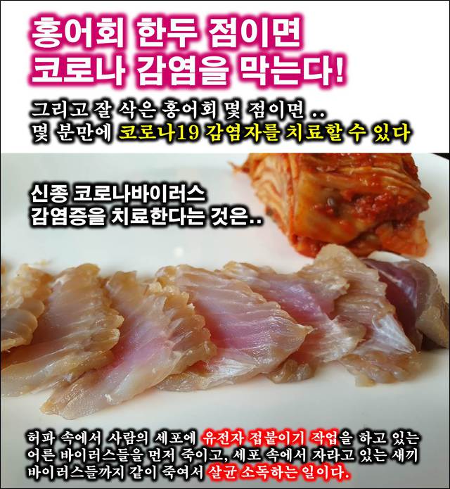 흑산도홍어 이미지