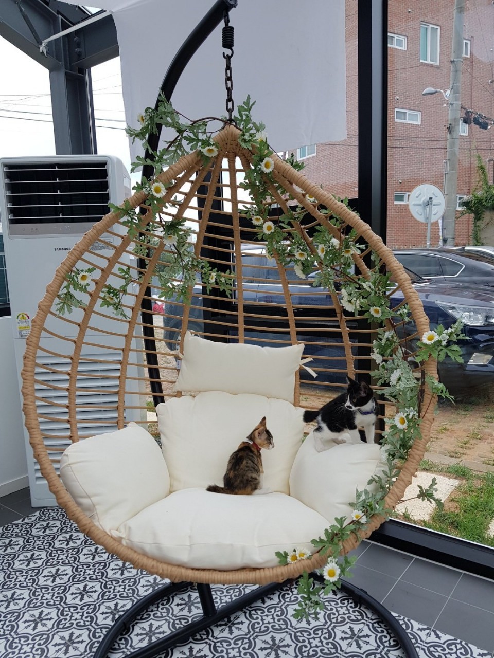 카페온실 이미지
