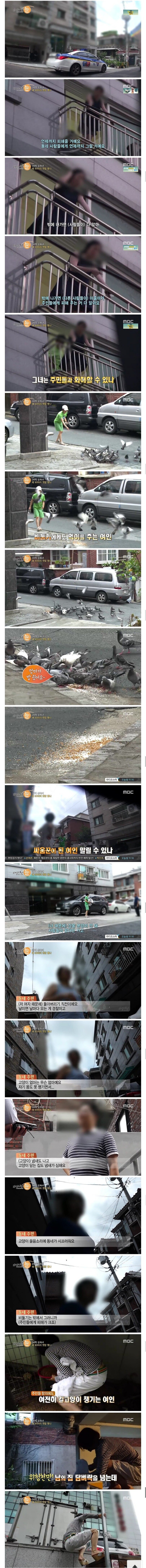 고양이 90마리 캣맘...jpg | 인스티즈