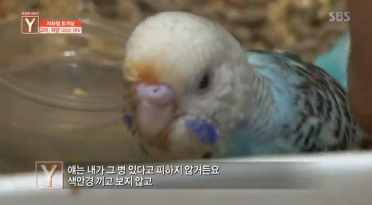 지하철 토끼남의 사연 | 인스티즈