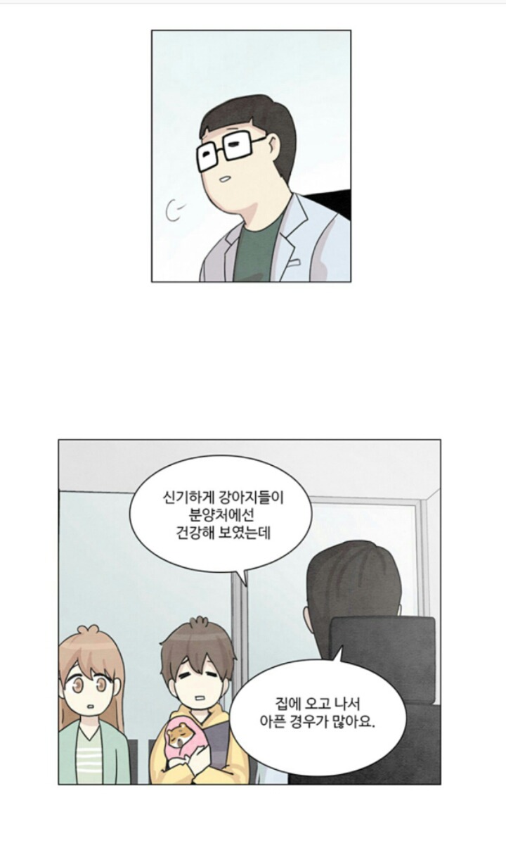 입양된 강아지가 갑자기 아픈이유 | 인스티즈