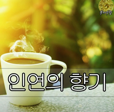 인연의향기 이미지