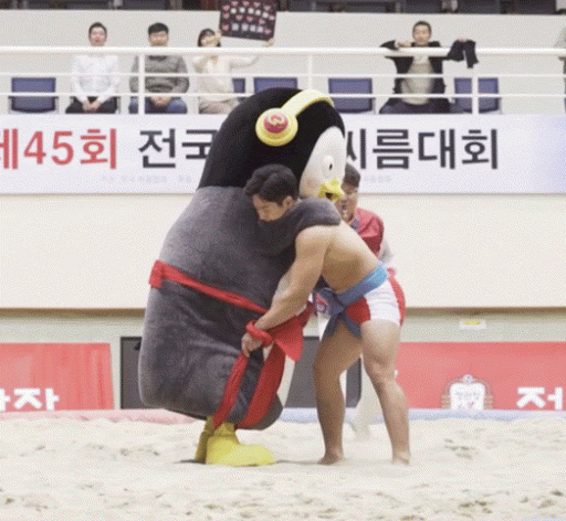 펭수 사망.....gif | 인스티즈