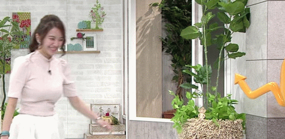 일본 아나운서 이토사야코.jpgif | 인스티즈