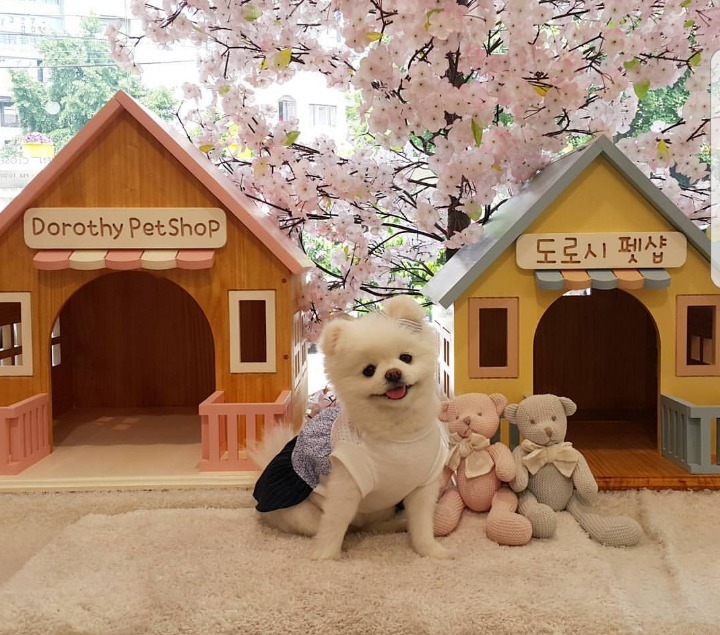 술 취한 여친을 자취방에 데려다 준 남친 | 인스티즈