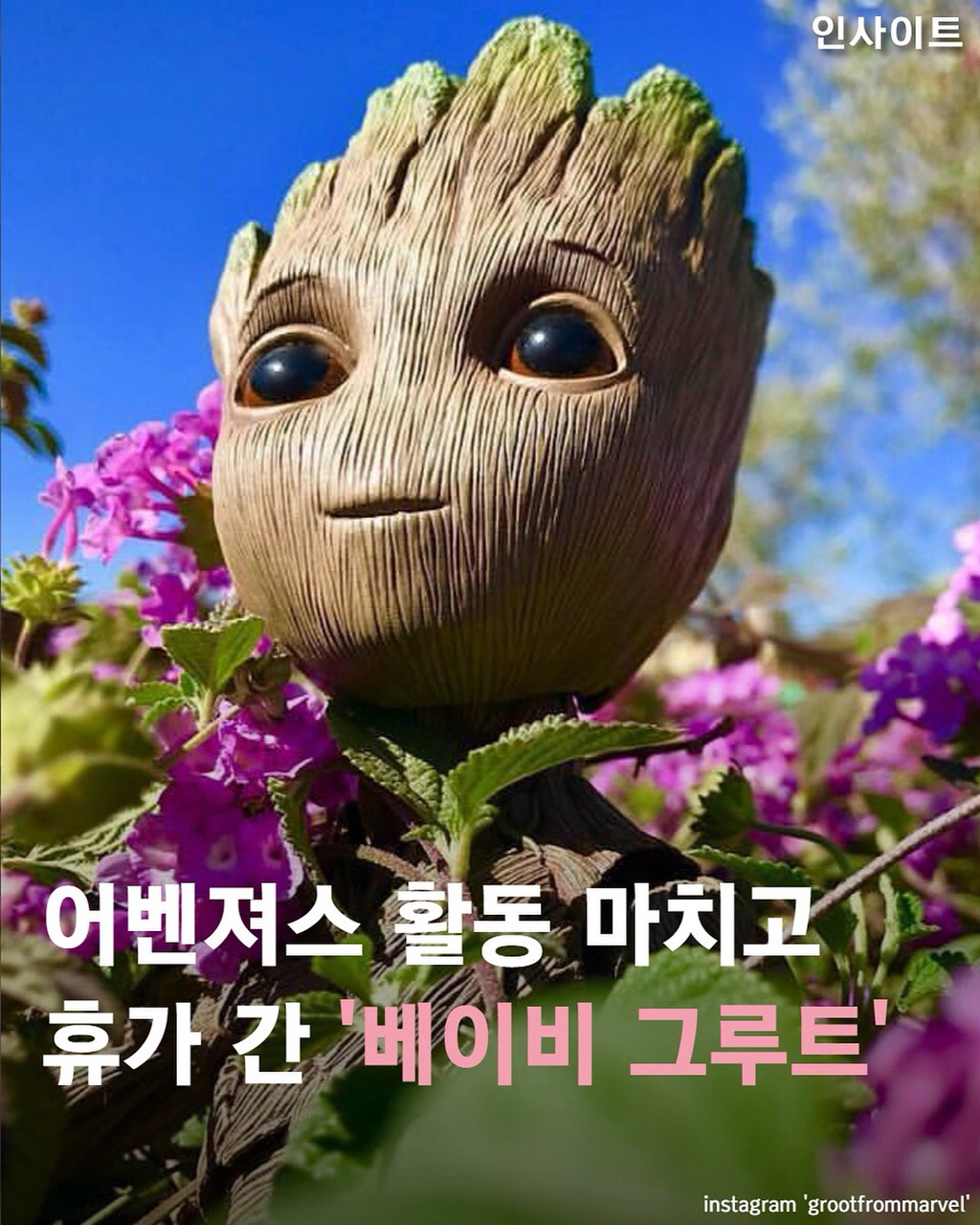 휴가 떠난 베이비 그루트 | 인스티즈