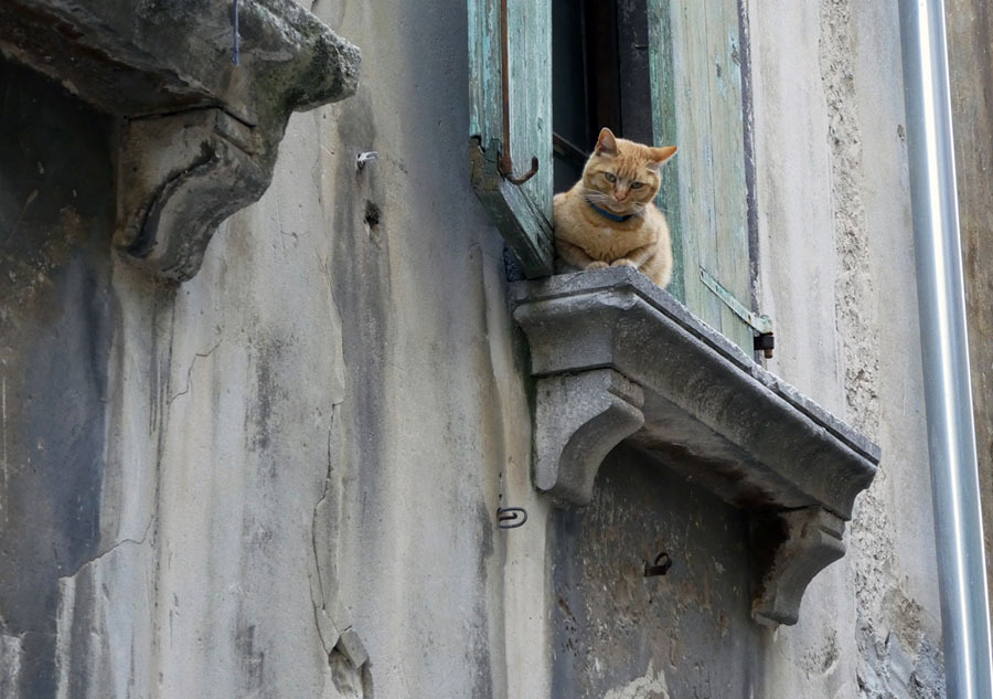 크로아티아 풍경 30장 | 인스티즈