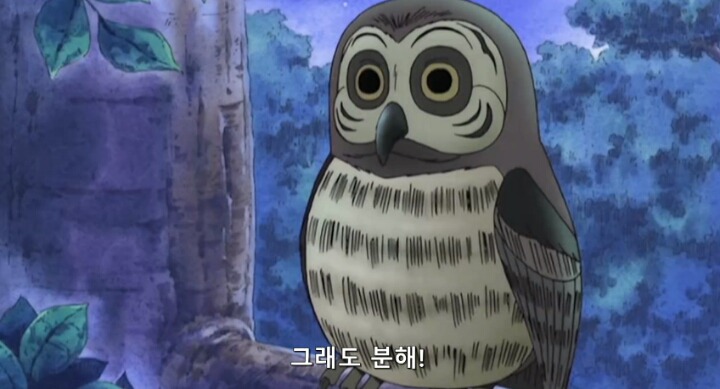 원피스 쿠이나 재등장 썰 | 인스티즈