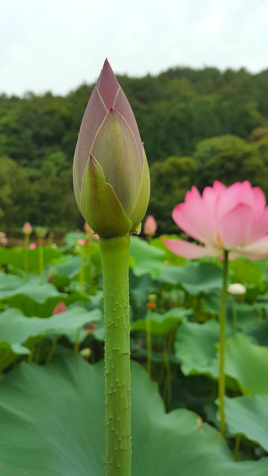 화개카센타 이미지
