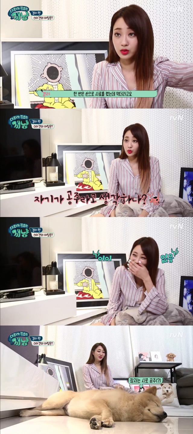 [대화가필요한개냥] 나인뮤지스 경리와 사랑스러운 반려견 시로.jpg | 인스티즈