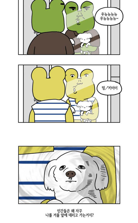 개 키우는 사람들이 많이 하는짓 | 인스티즈