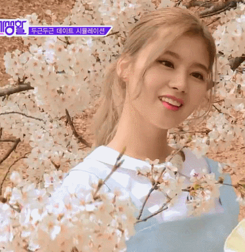 트와이스 사나 | 인스티즈