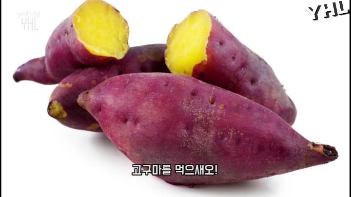 댕댕이 동기부여 영상 | 인스티즈