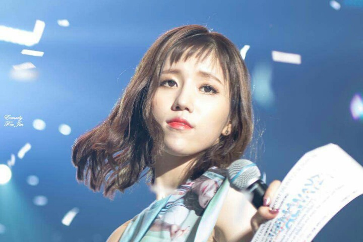 [러블리즈] 고양이들이 더위먹어서 러블리즈 | 인스티즈