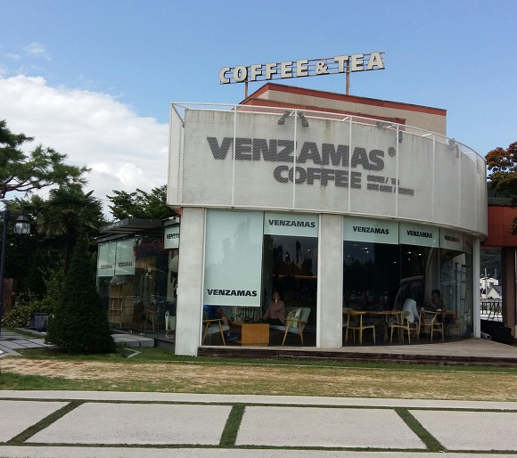 벤자마스 이미지