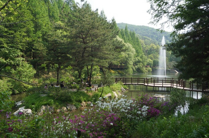 미동산수목원 이미지